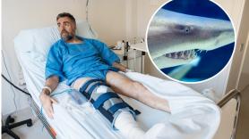 Un hombre acaba en el hospital tras ser mordido por un tiburón azul: "El pez era el que estaba en el sitio correcto"