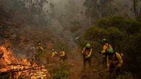 Niebla: los bomberos logran acorralar el peor fuego en la historia de Andalucía tras arrasar cerca de 40.000 hectáreas
