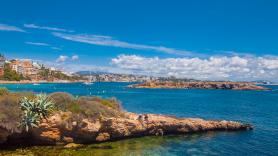 Los bañistas de dos calas de Mallorca avisan del regreso de los peces que muerden: "Parecían tener dos dientes y al final sacaron sangre y todo"