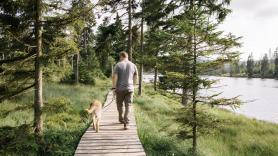 Un helicóptero de emergencia rescata en una montaña de Alemania a un turista y a su labrador de 27 kilos: el perro estaba tan cansado que no podía continuar