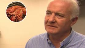 Rick Stein, chef británico, prueba las gambas de Palamós y se queda sin palabras: "Lo siento, estoy teniendo un momento difícil"