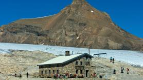 Cuatro estudiantes cubren 200 metros de glaciar con lana de oveja y el resultado sorprende a los científicos: "Funcionó increíblemente bien"