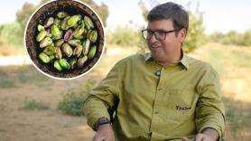 Josep Casas, dueño de 1.500 hectáreas de pistacho: "Ahora mismo casi nadie gana dinero cosechando pistacho; es como la fiebre del oro, ganan los que venden picos y palas"