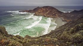 En 1850, un ganadero llevó 45 ovejas a la isla de San Miguel; para 1862 había 6.000, y después de que el pastoreo acabara con la vegetación, las últimas 148 fueron eliminadas en 1966