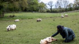 Lía, cuidadora en el Santuario Gaia desde hace 10 años: "En el momento que te implicas en salvar animales, eres responsable de su vida hasta que fallecen"