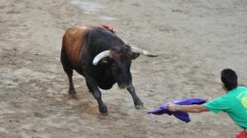 Muere un hombre de 80 años tras sufrir una cogida por un toro en los 'bous al carrer' en Castellón