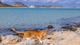 Grecia se harta del turismo masivo e impone un cupo a su playa más viral, el 'infierno en la Tierra': 1.200 personas a la vez, entrada reservada y tres horas para verla