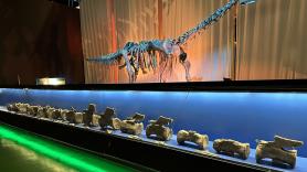 Sergio Sánchez-Fenollosa, el científico que ha descubierto el diplodocus de Teruel: "Sabíamos seguro que iba a tener mucho recorrido y ha sido una absoluta locura"