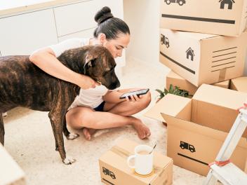 Imagen de una joven, junto a una mascota, buscando algo en el móvil rodeada de cajas de mudanza.