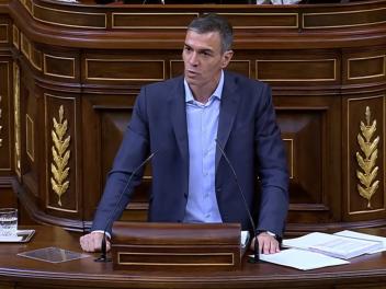 Pedro Sánchez, durante una de sus intervenciones en el Congreso de los Diputados.
