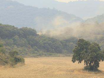 Las llamas se expanden a causa del incendio forestal en Orés (Zaragoza).