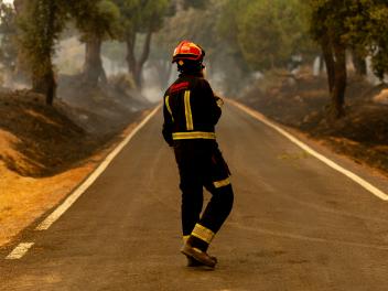 Un bombero trabajando en los incendios de estos últimos días.