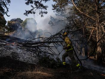 Un bombero trata de controlar un punto caliente en la Sierra Oeste de Madrid