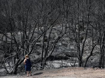 resumen-hoy-incendios