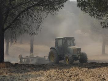 Maquinaria pesada realiza cortafuegos por el incendio de Niebla (Huelva), el 11 de agosto de 2026.