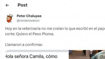 Manda a su perro al veterinario con esta petición y le llaman para confirmar que es real
