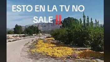 Un agricultor provoca multitud de reacciones con lo ocurrido en un cultivo de limones