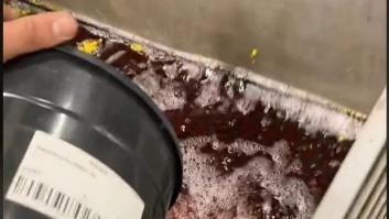 El trabajo más fácil del mundo se paga a 15 euros la hora