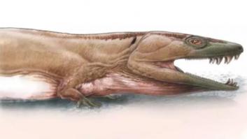 La enorme bestia de pantano que estaba en la Tierra 40 millones de años antes que los dinosaurios
