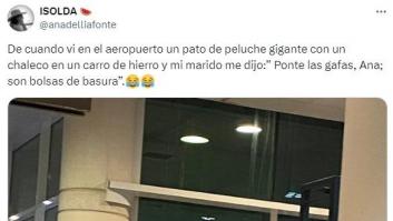 Cree que ve un pato de peluche gigante en el aeropuerto pero esta es la realidad