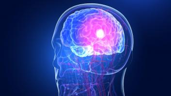 Investigan el cerebro al buscar una solución y descubren la versión real de la expresión 'encenderse la bombilla'