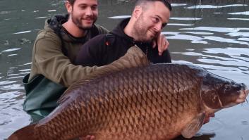 Encuentran un enorme pez y resulta ser una carpa de récord