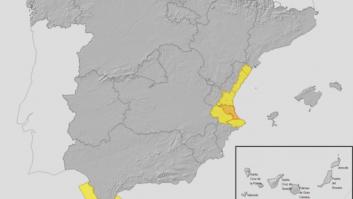 Roberto Brasero alucina con lo que ha pasado en Valencia y tiene que recurrir a Serrat