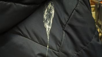 Ojo con este nuevo método de los carteristas: limpiarte manchas de excrementos de pájaro