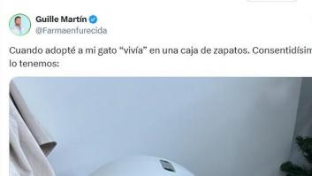 Un farmacéutico enseña cómo es el moderno arenero de su gato: "Eso es una nave espacial"
