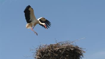 En Portugal llaman la atención sobre esta improvisada construcción que se ha convertido en atracción turística en España