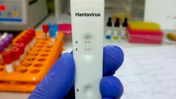 Salvador Peiró, epidemiólogo, sobre el operativo del crucero del hantavirus que atracará en Tenerife: "Hay cierta sobreactuación; esto no es la COVID-19 ni de lejos"