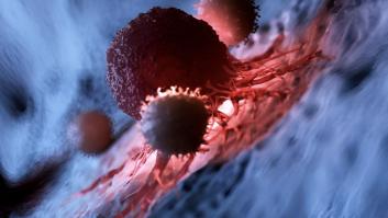 Científicos registran por primera vez cómo las células inmunitarias "devoran" células cancerosas vivas