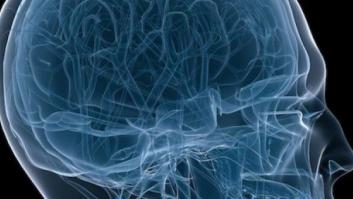 Razones del engaño: una sola región del cerebro decide cómo y cuándo engañamos