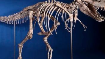 Un dinosaurio sin papeles será deportado de Estados Unidos