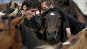 ¿Dónde se celebra la Rapa das Bestas y por qué?