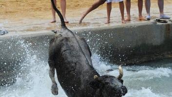 Bous a la Mar 2025: programa de la Festa Major en Dénia (Alicante)