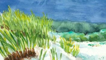 "La Posidonia es para ricos": nuestro patrimonio natural arrasado