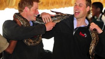 15 aniversario de la muerte de Diana de Gales: ¿Dónde estábamos cuando Lady Di murió? (FOTOS, VÍDEOS)