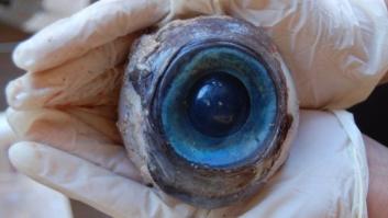 Un misterioso ojo gigante aparece en una playa en Florida (FOTOS)