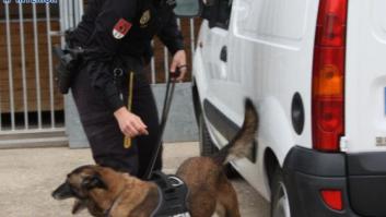 Operación Emperador: Perros policías encontraron el dinero negro de las mafias chinas (FOTOS)