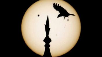 El próximo martes 13 de noviembre habrá un eclipse total de sol por primera vez en dos años