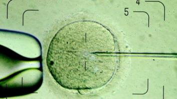 Multada una pareja china por tener octillizos mediante fecundación in vitro