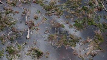 Belo Monte, la presa que amenaza el Amazonas