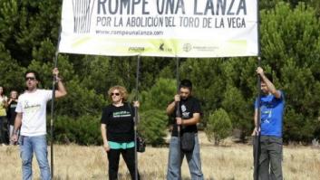 Toro de la Vega 2012: 'Volante' muere a manos de un lancero a caballo y el torneo acaba declarado nulo (FOTOS)