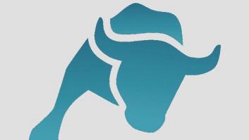 El canal Intereconomía cambia de nombre: ahora se llama El Toro TV