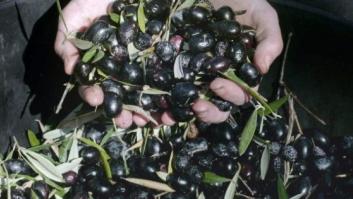 La OIT alerta de la "creciente división" entre norte y sur de España por la crisis