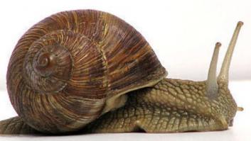 Luces en la oscuridad I: dejar de crecer para salvarnos