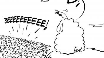 Liderazgo en campaña