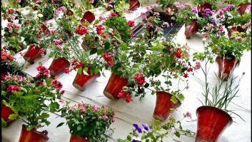 La humanidad en los patios cordobeses