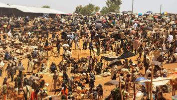 Etiopía como asignatura de vida